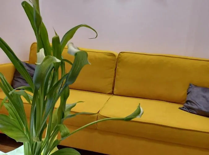 Caligula Center Pola