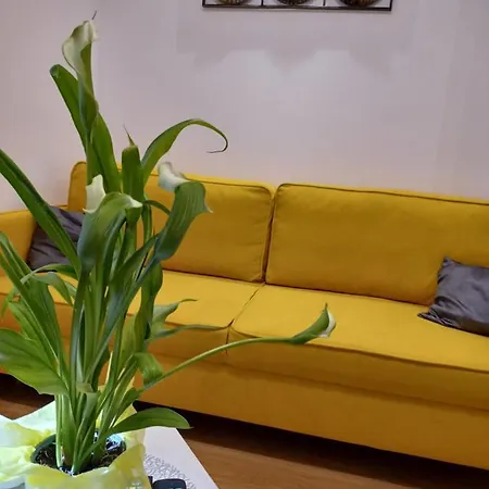 Caligula Center Pula